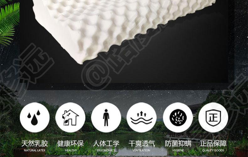 泰国Latex Systems天然乳胶枕、颗粒枕、按摩枕