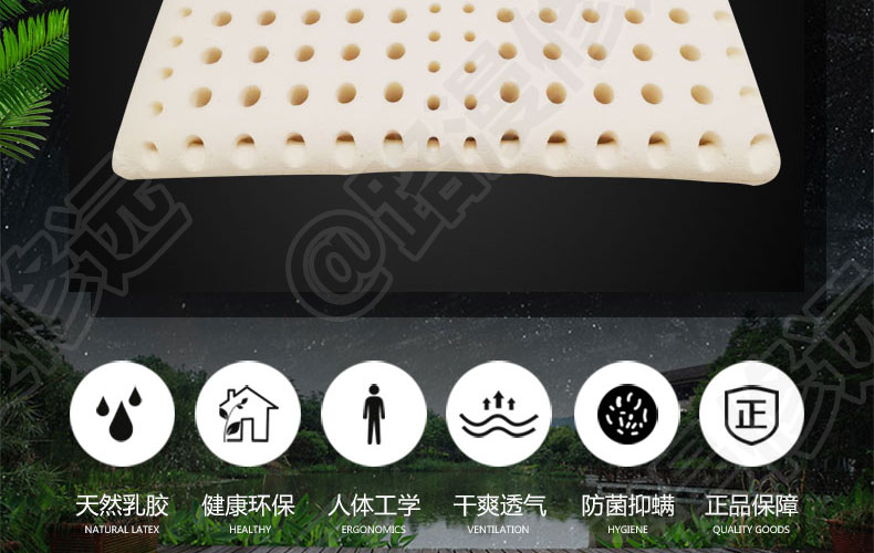 泰国Latex Systems天然乳胶枕、小童枕