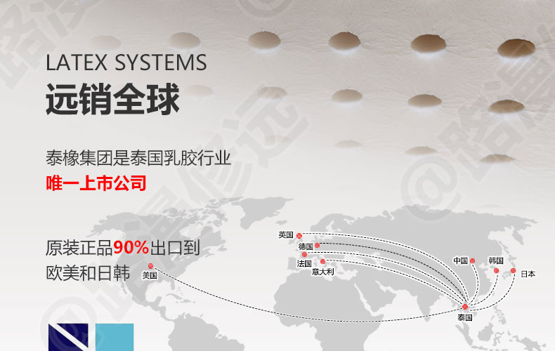 泰国Latex Systems天然乳胶枕、小童枕