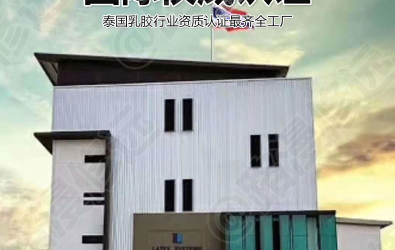 泰国Latex Systems天然乳胶枕、小童枕