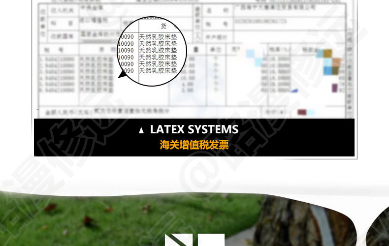 泰国Latex Systems天然乳胶枕、小童枕