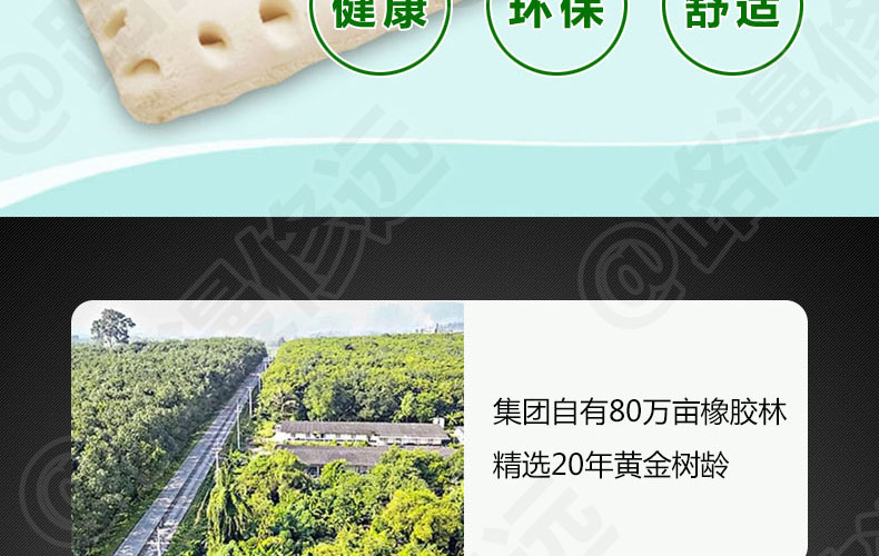 泰国Latex Systems天然乳胶枕、小童枕