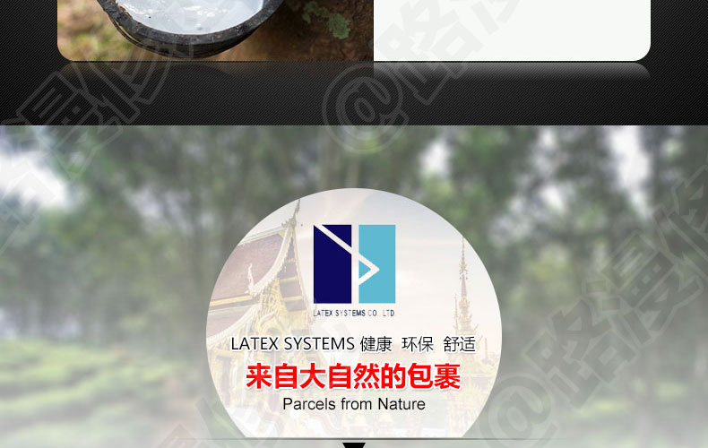 泰国Latex Systems天然乳胶枕、小童枕