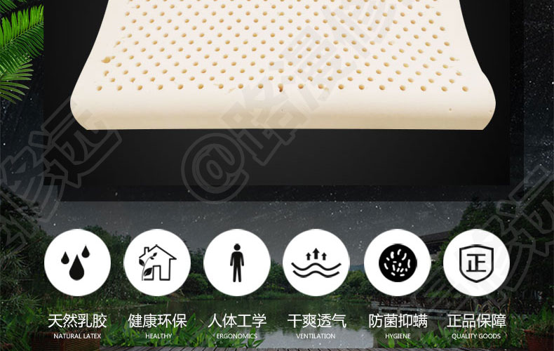 泰国Latex Systems天然乳胶枕、儿童枕、高低儿童枕