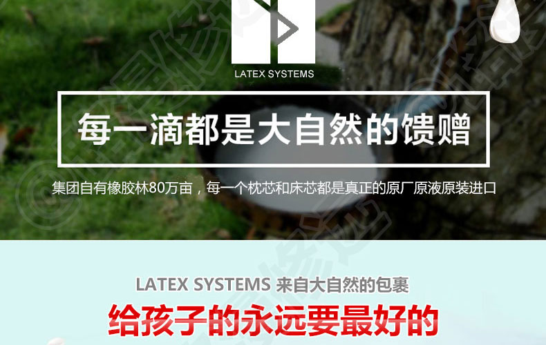 泰国Latex Systems天然乳胶枕、儿童枕、高低儿童枕